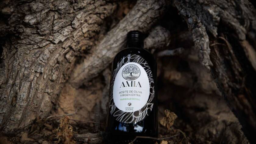 botella de aceite royal de primera prensada en frio Amia sobre tronco de olivo