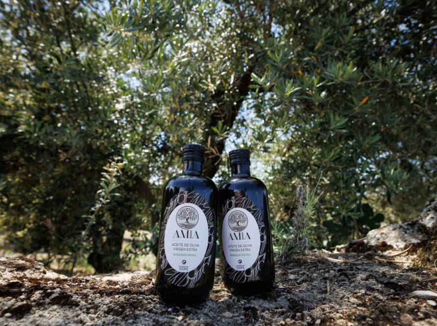botellas premium Royal y Picual Amia de aceite de oliva virgen extra en el suelo del olivar