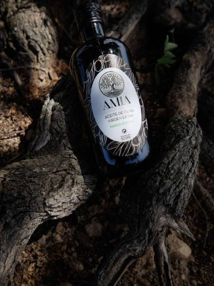 Imagen de tronco de olivo con botella de aceite royal de primera prensada Amia